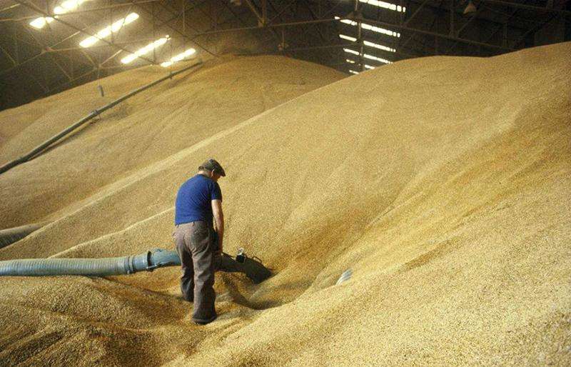 散裝糧食倉(cāng) 散裝糧食倉(cāng)